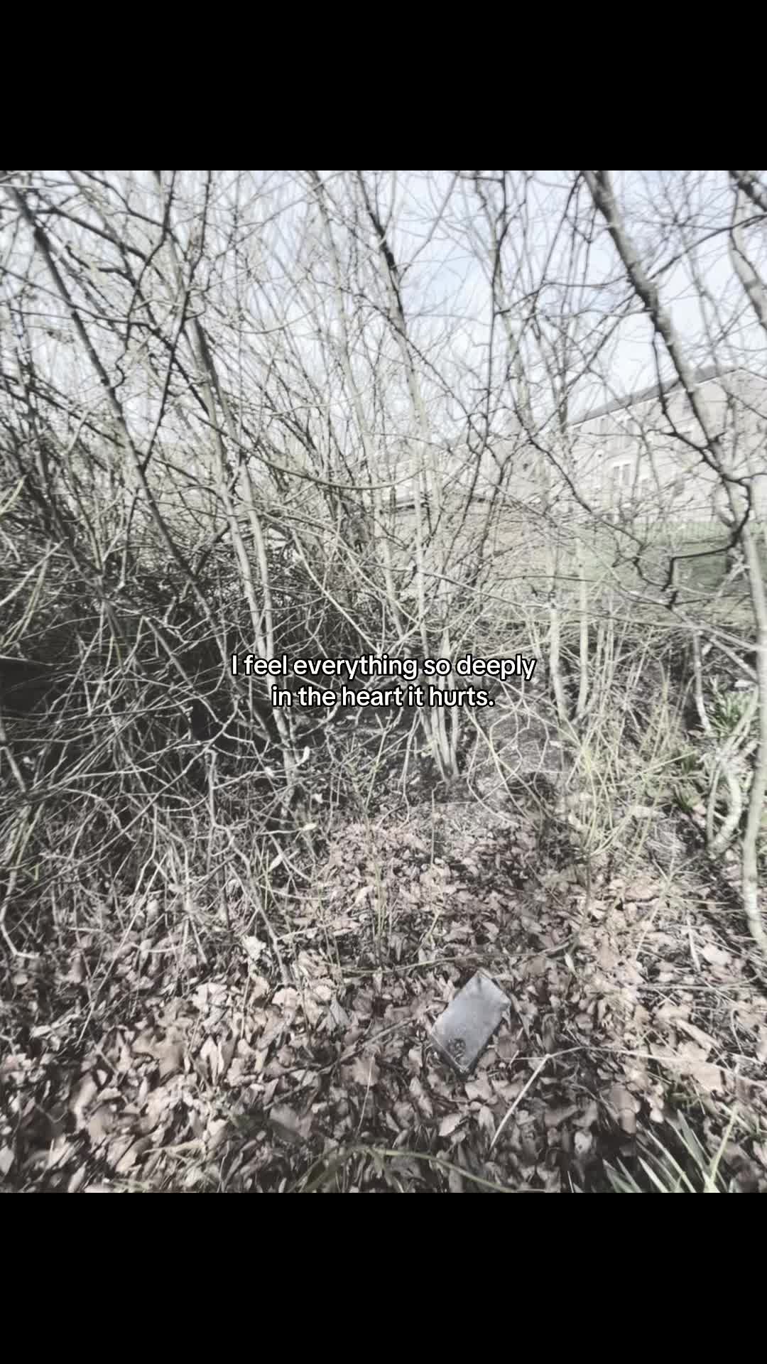 @Vanished