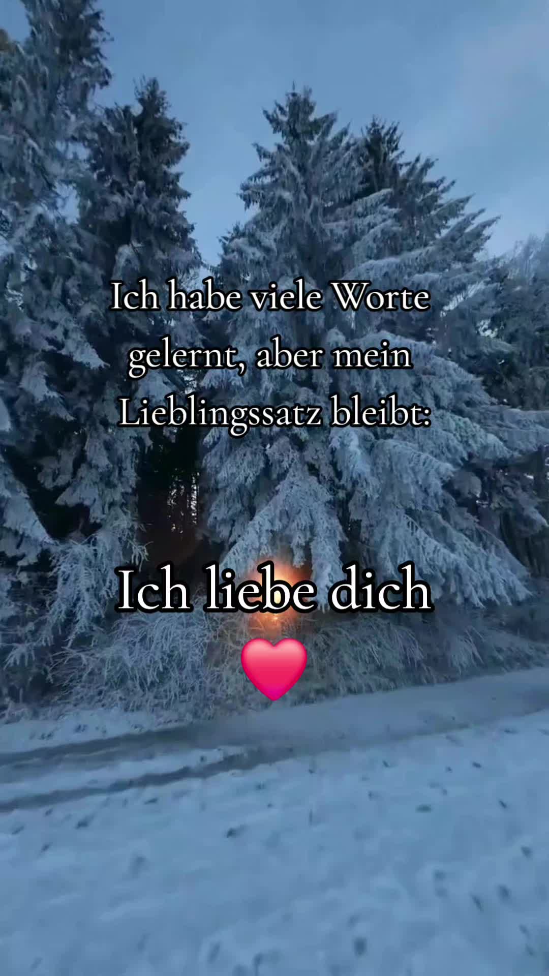 @Mr.zitat (joschy)
