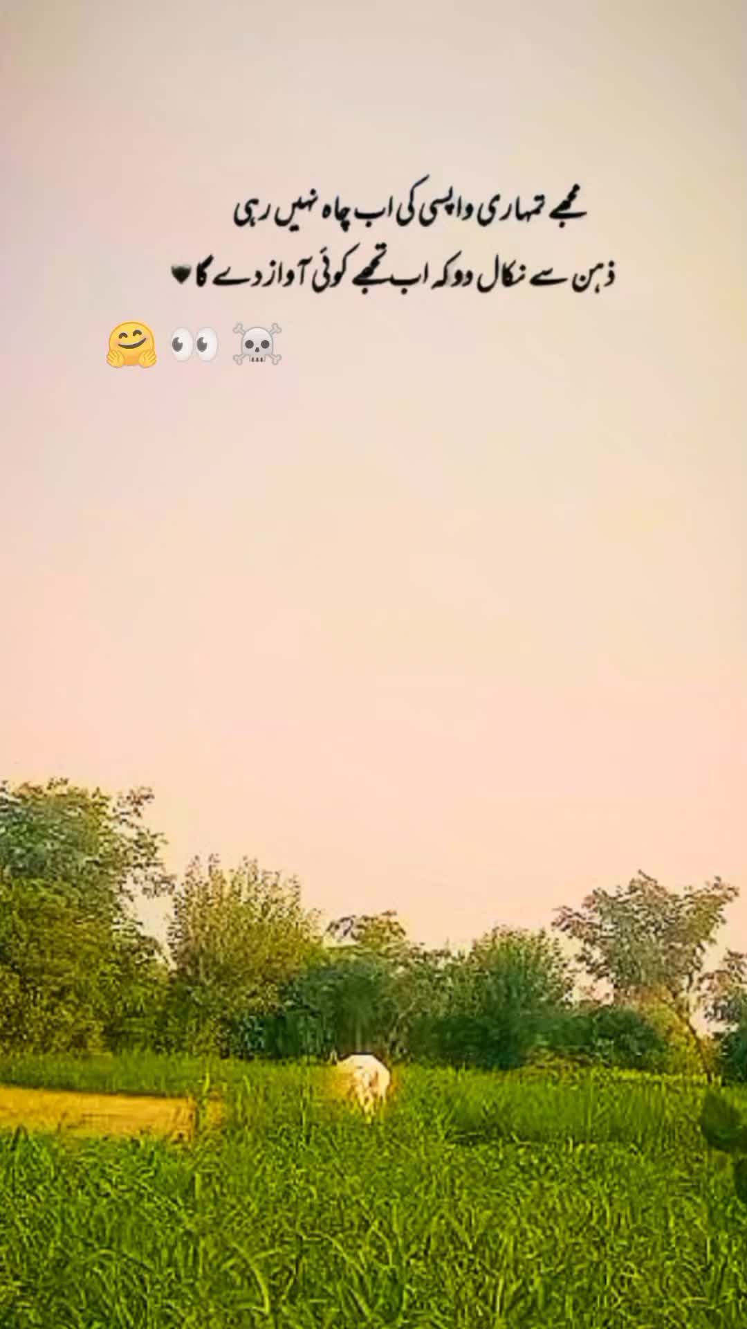 @𓆩⍣⃝𝙏𝙖𝙮𝙖𝙗 𝙎𝙞𝙗𝙩𝙖𝙞𝙣࿐