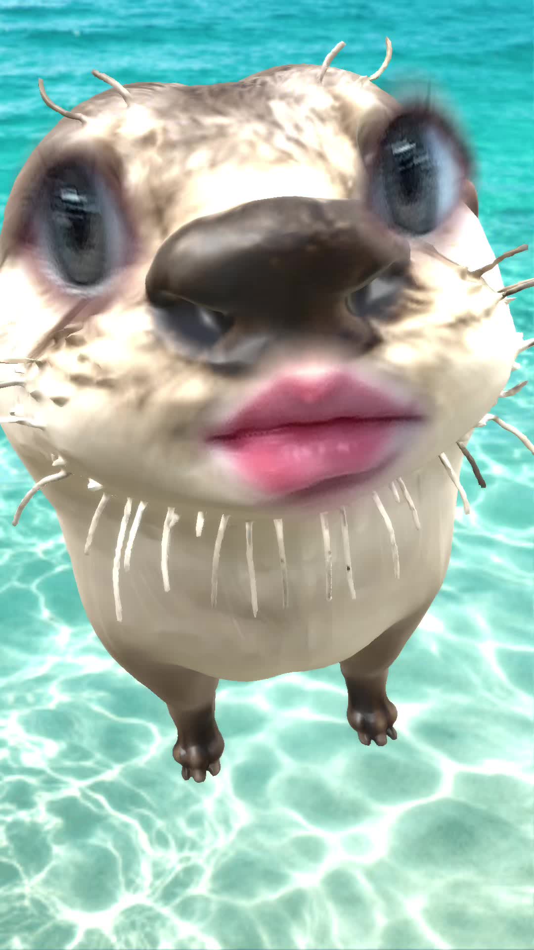 @โ๐โ๐๐ณโโ๐ต๐๐ด๐ชฝ๐ผ๐ชฝ