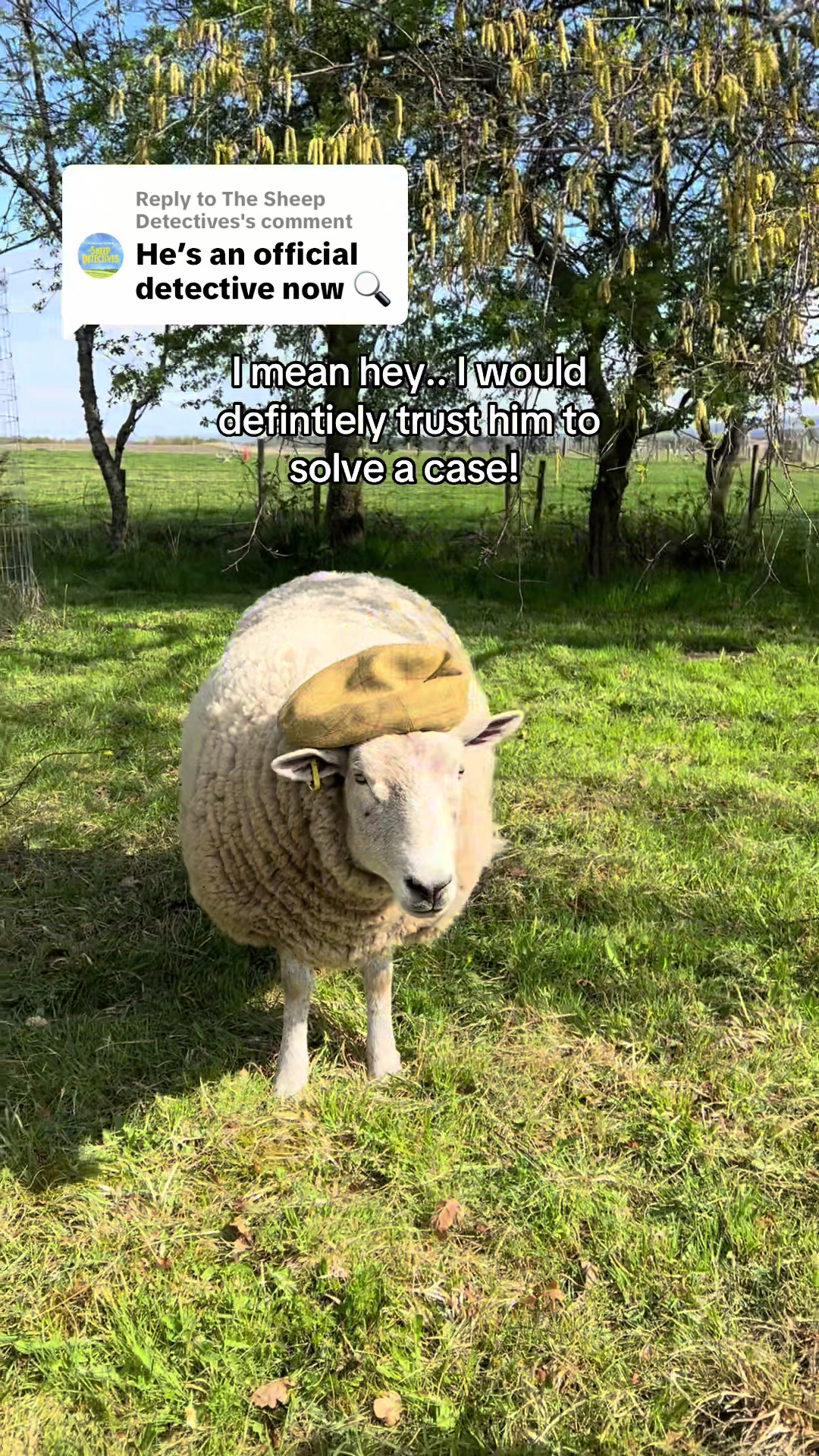 @Annie The Lamb