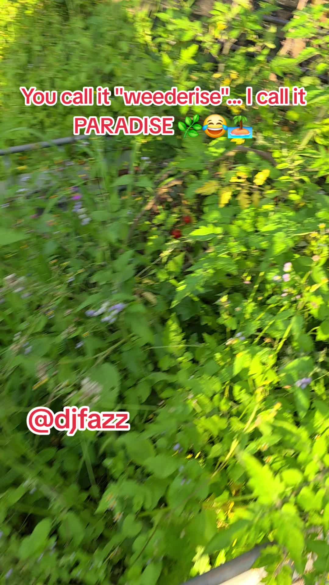 @DJFAZZ 🇳🇬🇦🇺🇫🇮🇬🇲