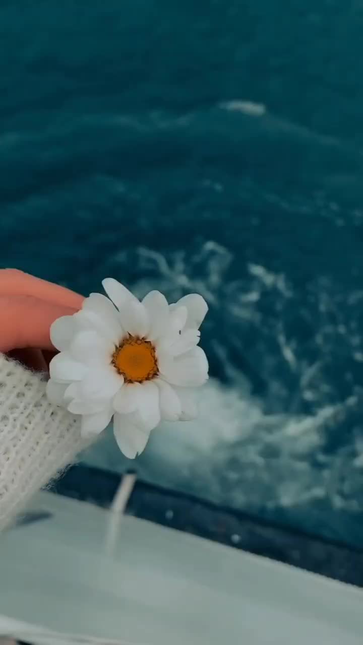 @kashmeri rumpa