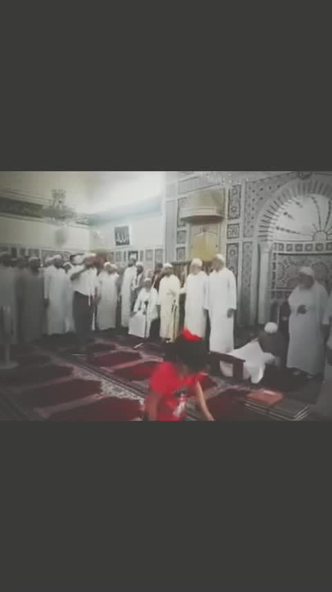 @عاشق الرسول ﷺ