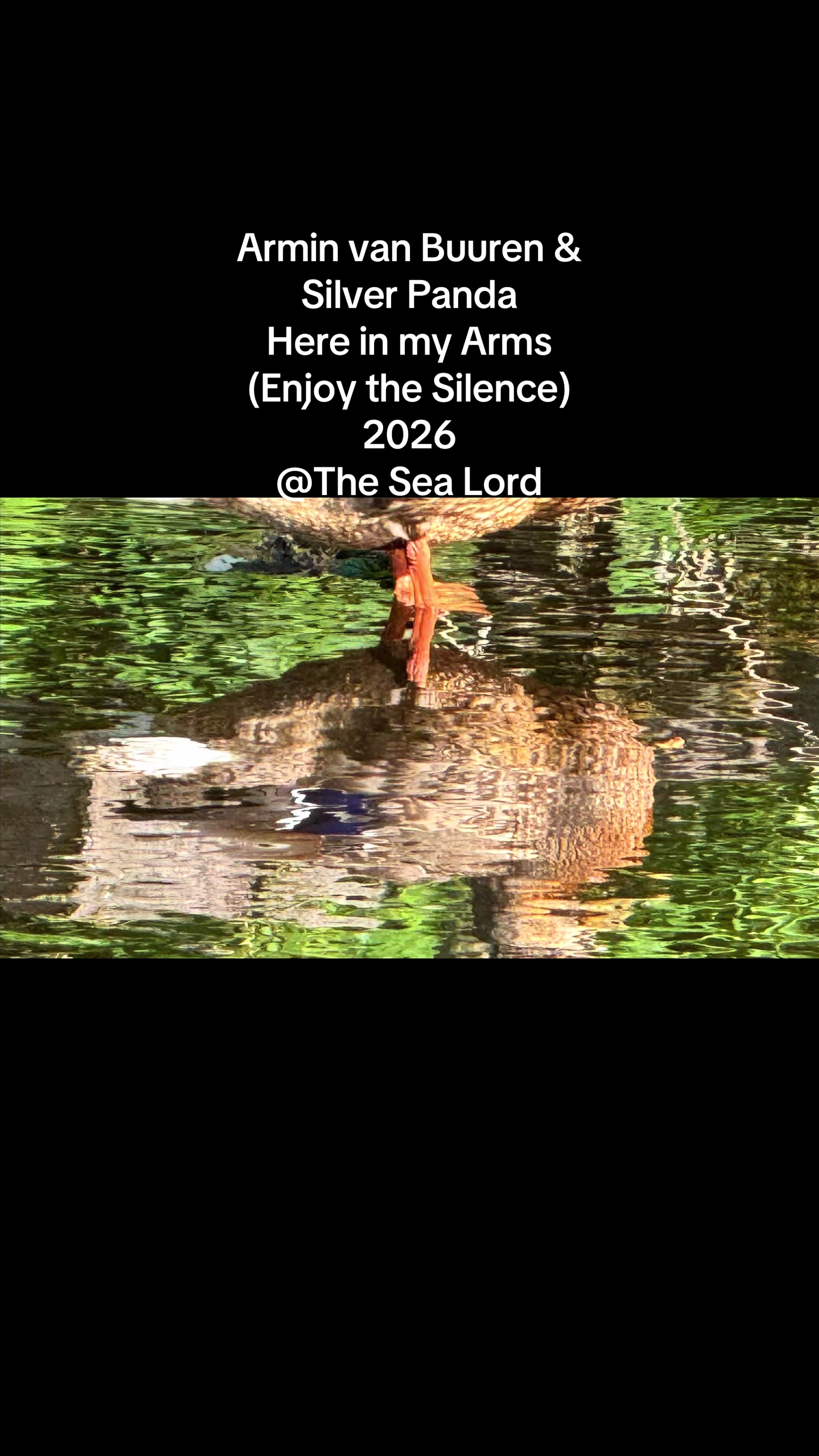 @Sea_Lord