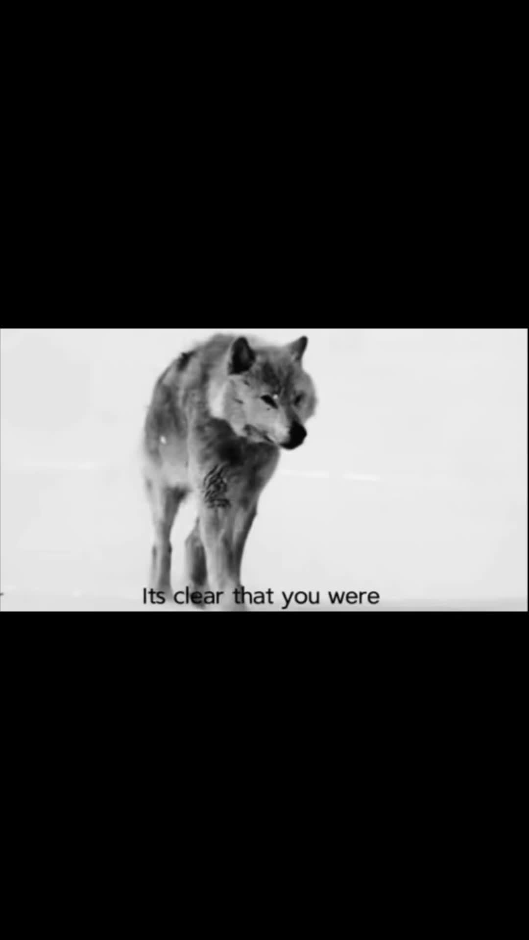 @goetia666
