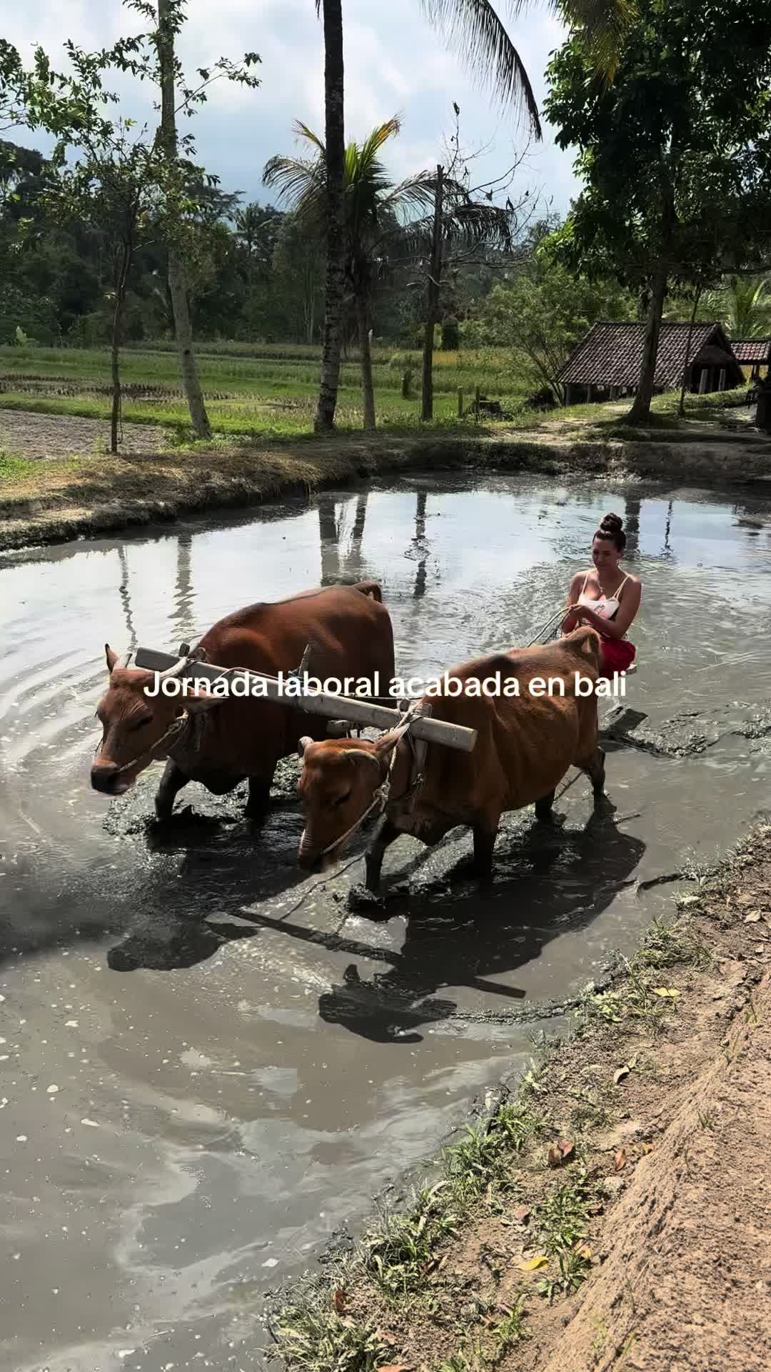 @shoryy420