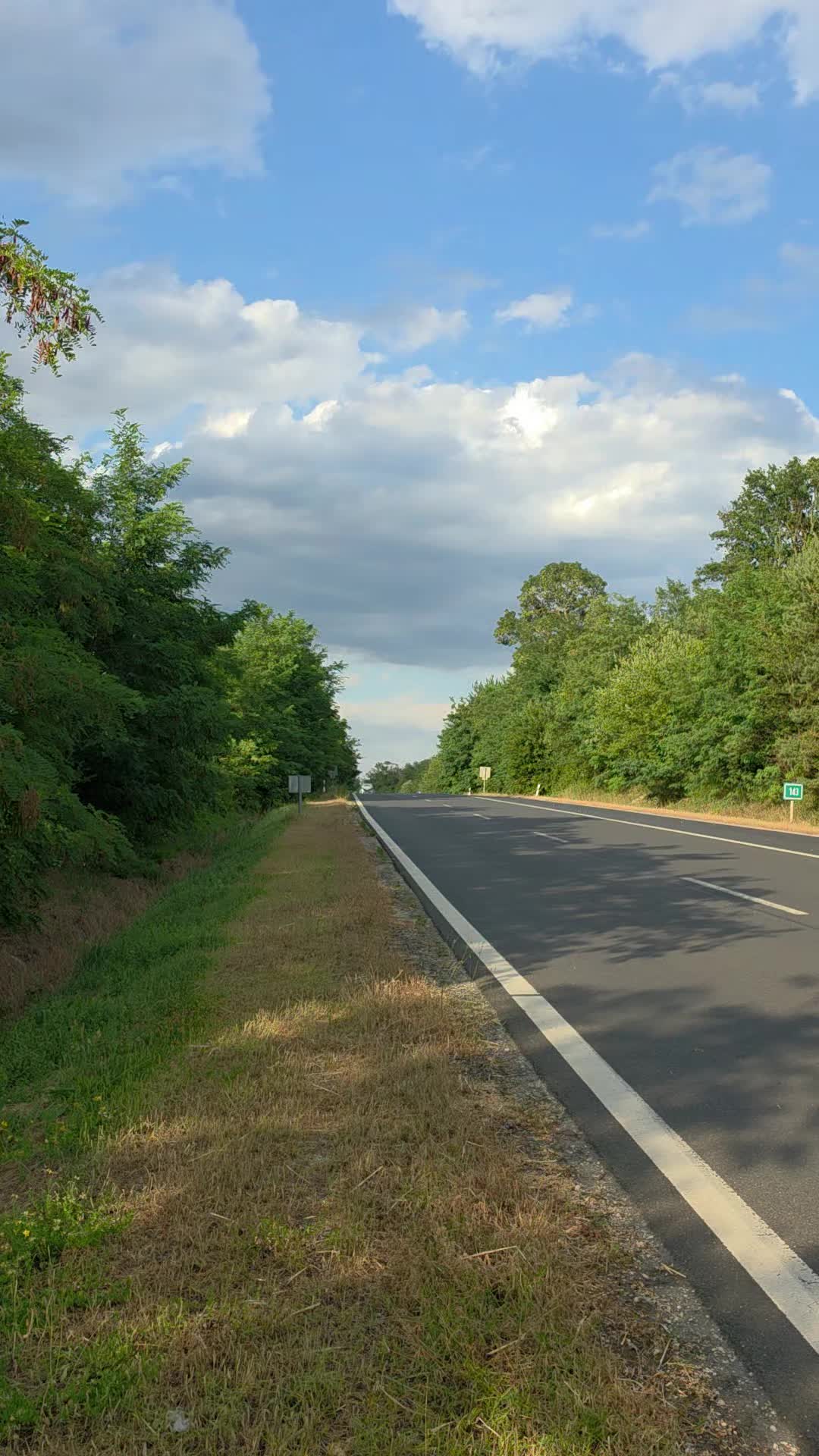 @Saci Polgár