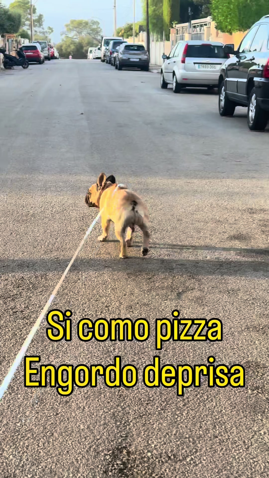 @Teamocerdito
