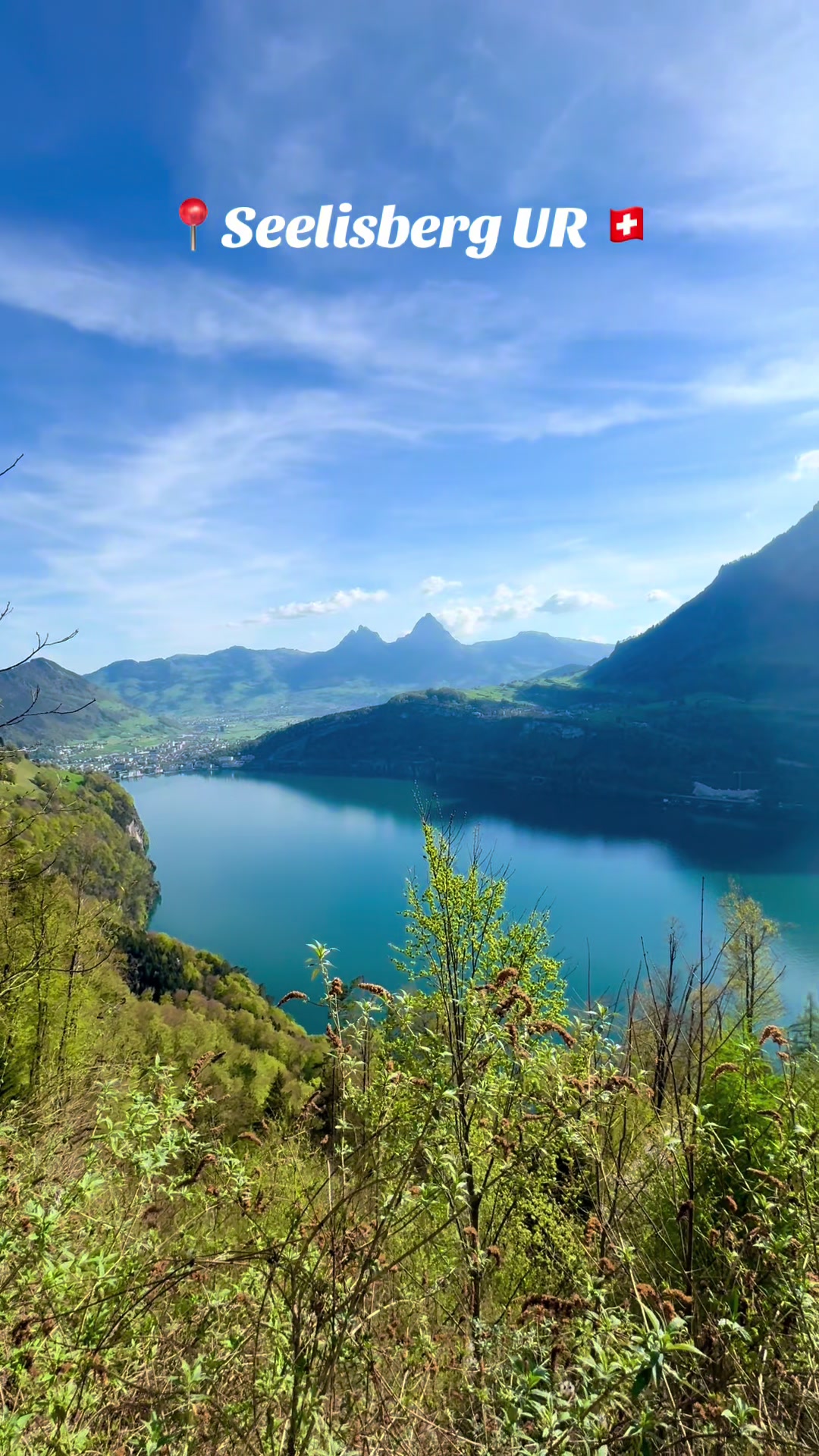 @swiss_alps