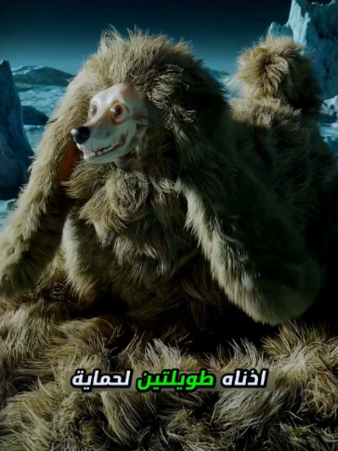 @skeleton adventures