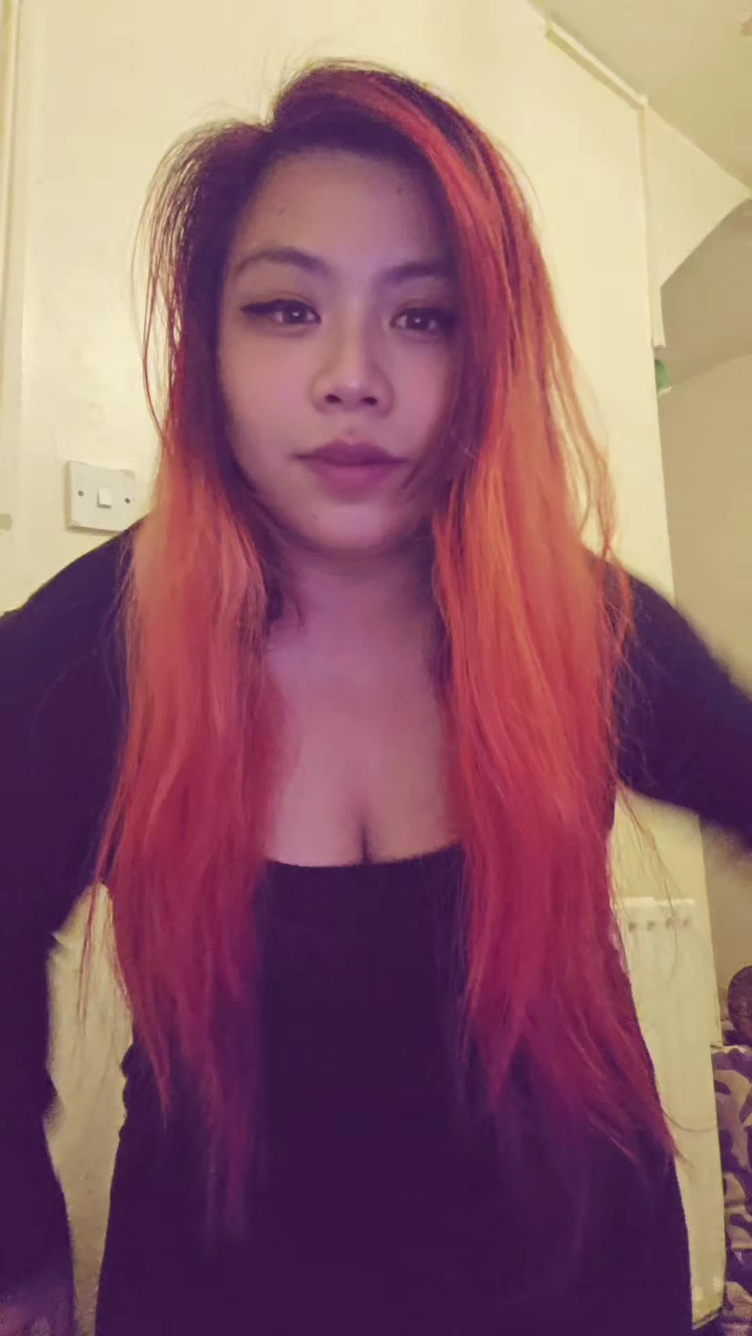 @TortoiseDaily&Kitkat
