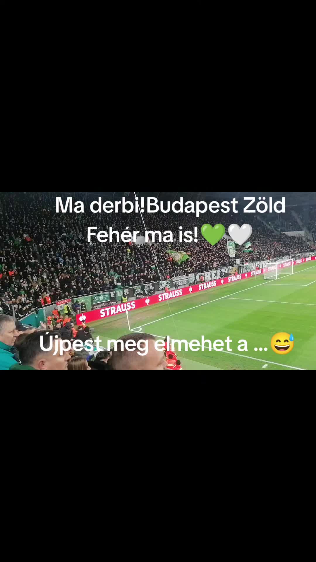 @papzsolt946💚💚💚🤍🤍🤍