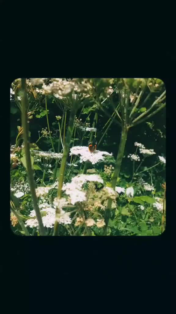 @🌧Sadie🌧