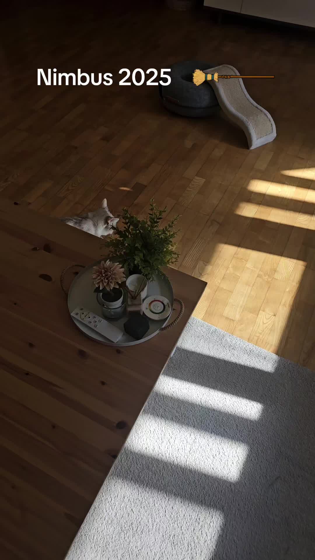 @T.a.n.o1