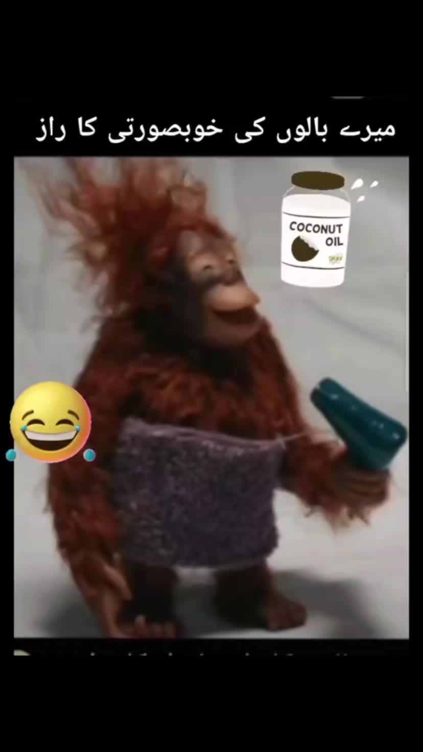 @Zubi🙋&zwj;♀️زوبی