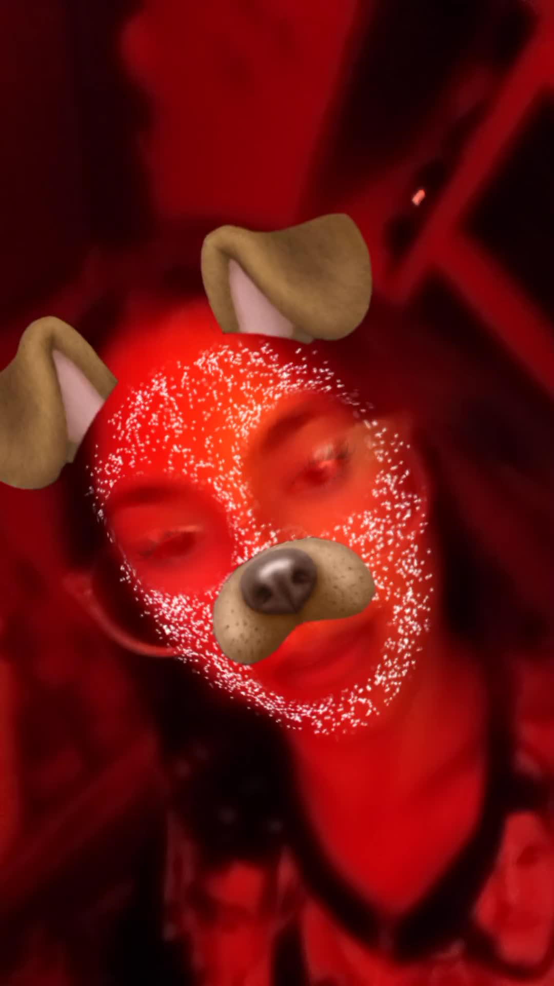 @Aaaancii🤩