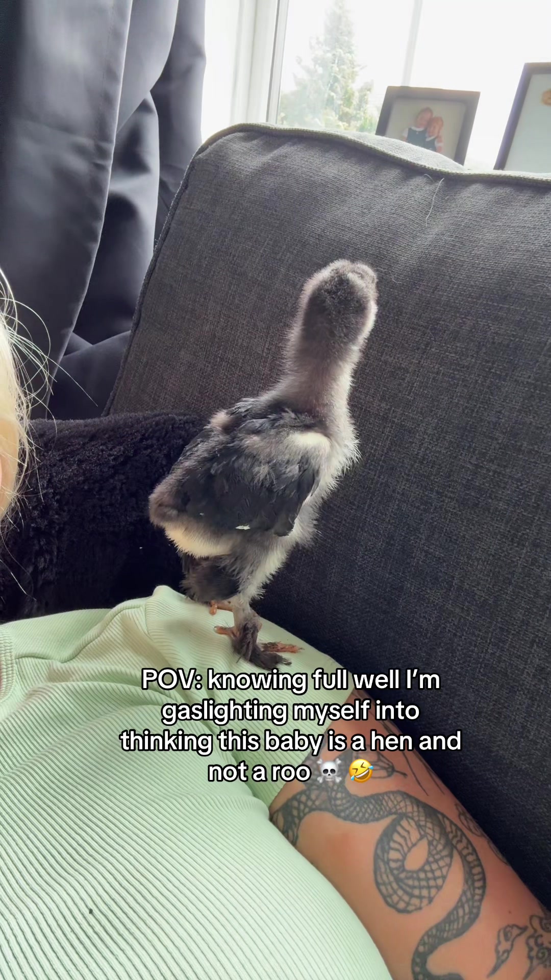 @littlemissinkbox