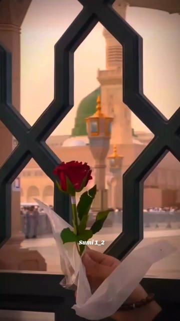 @Sumi1_2