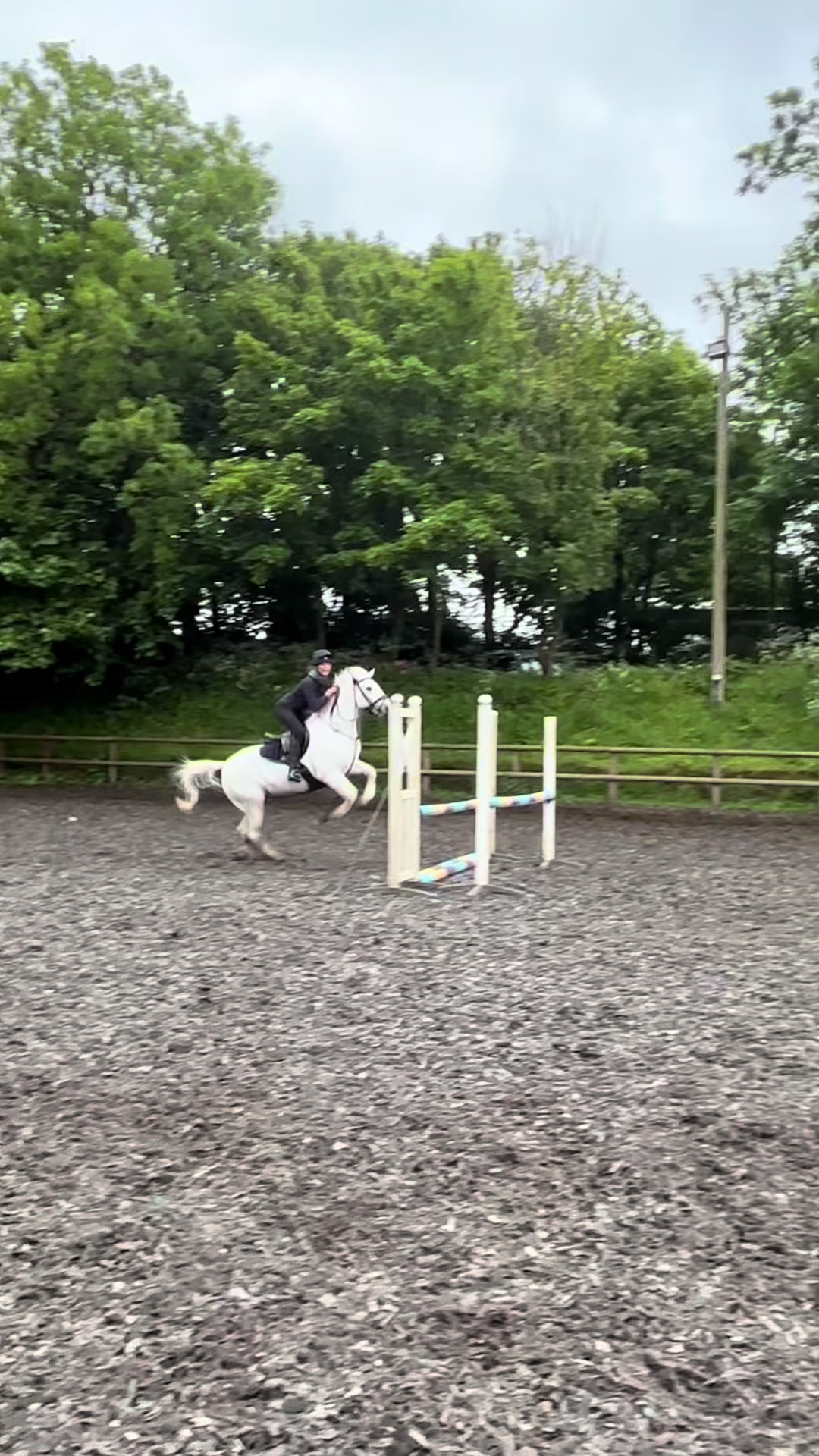 @amelia_showjumping2