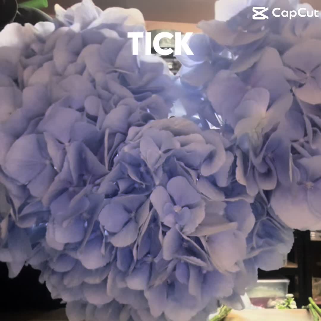 @The bloom studio