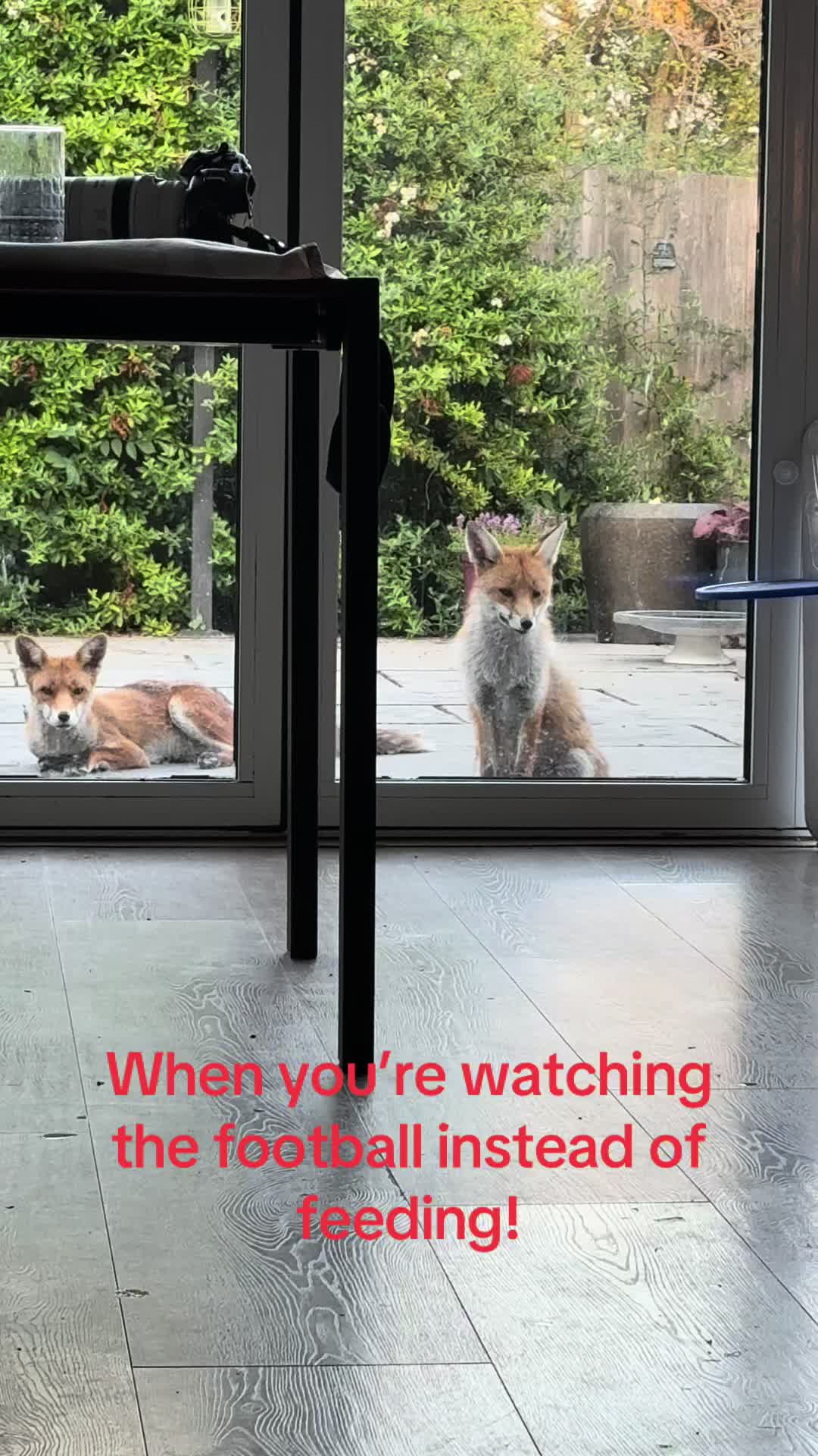 @gp_wildlife