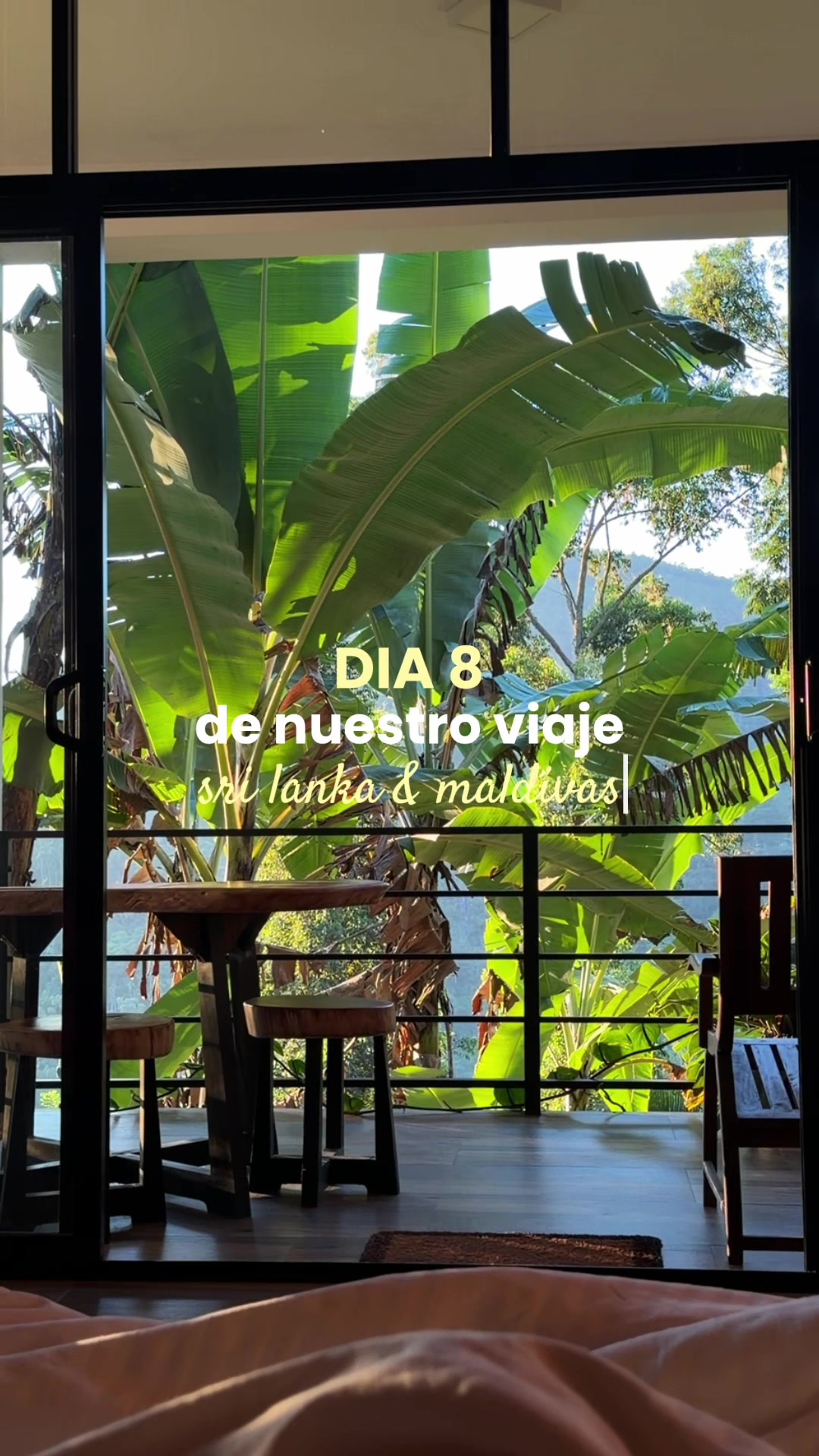 @Laia Ruiz