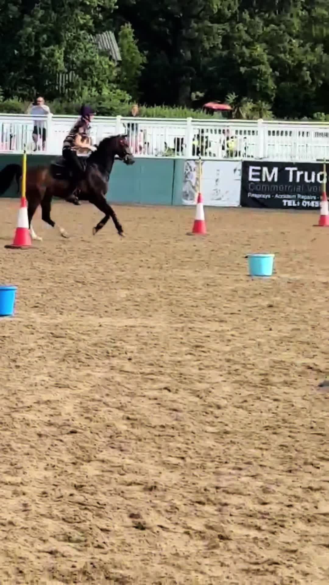 @Charlotte 🏇🐑