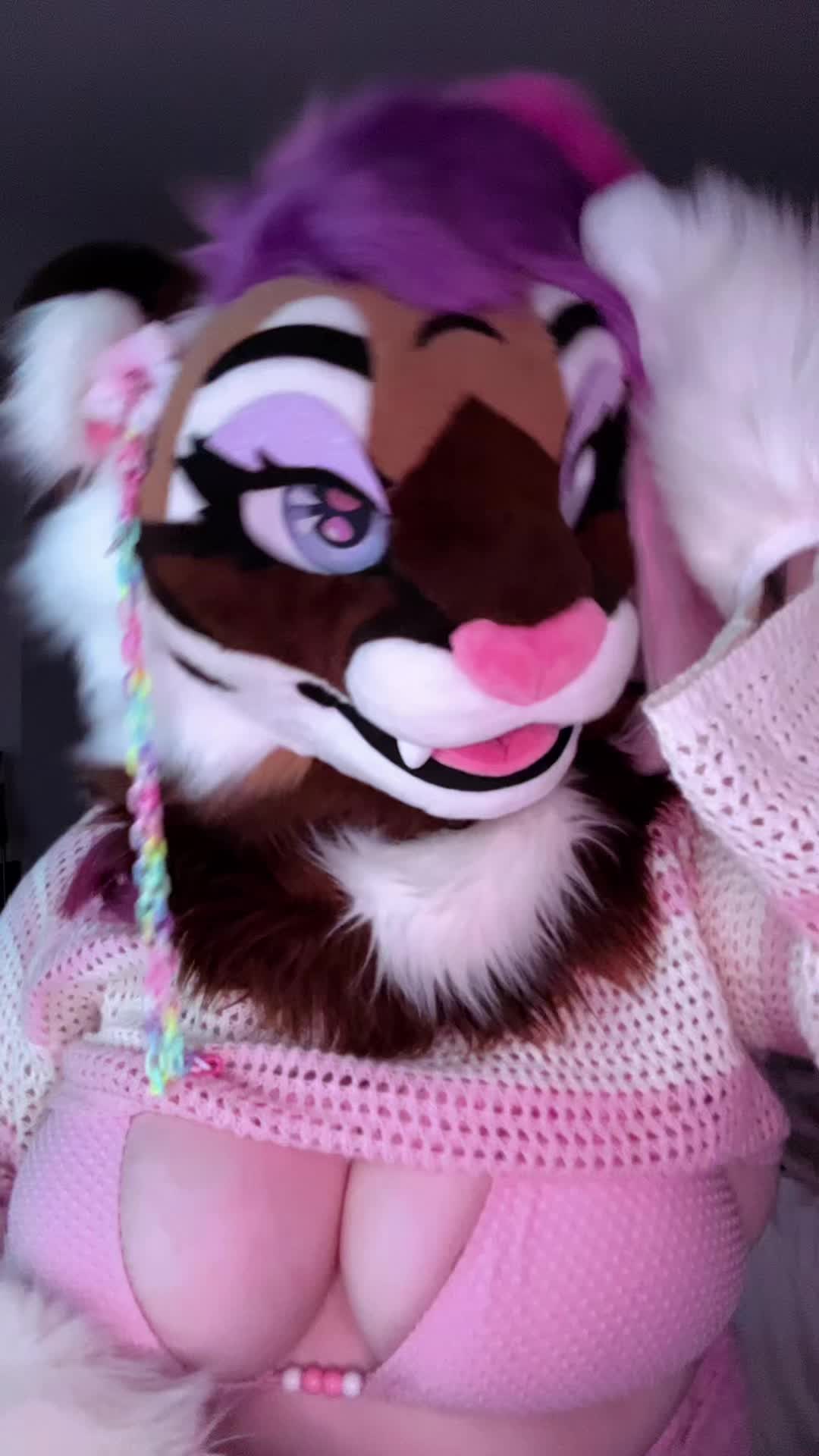 @🤍🎀 𝓐𝓷𝓰𝓮𝓵 🎀🤍CFZ2026