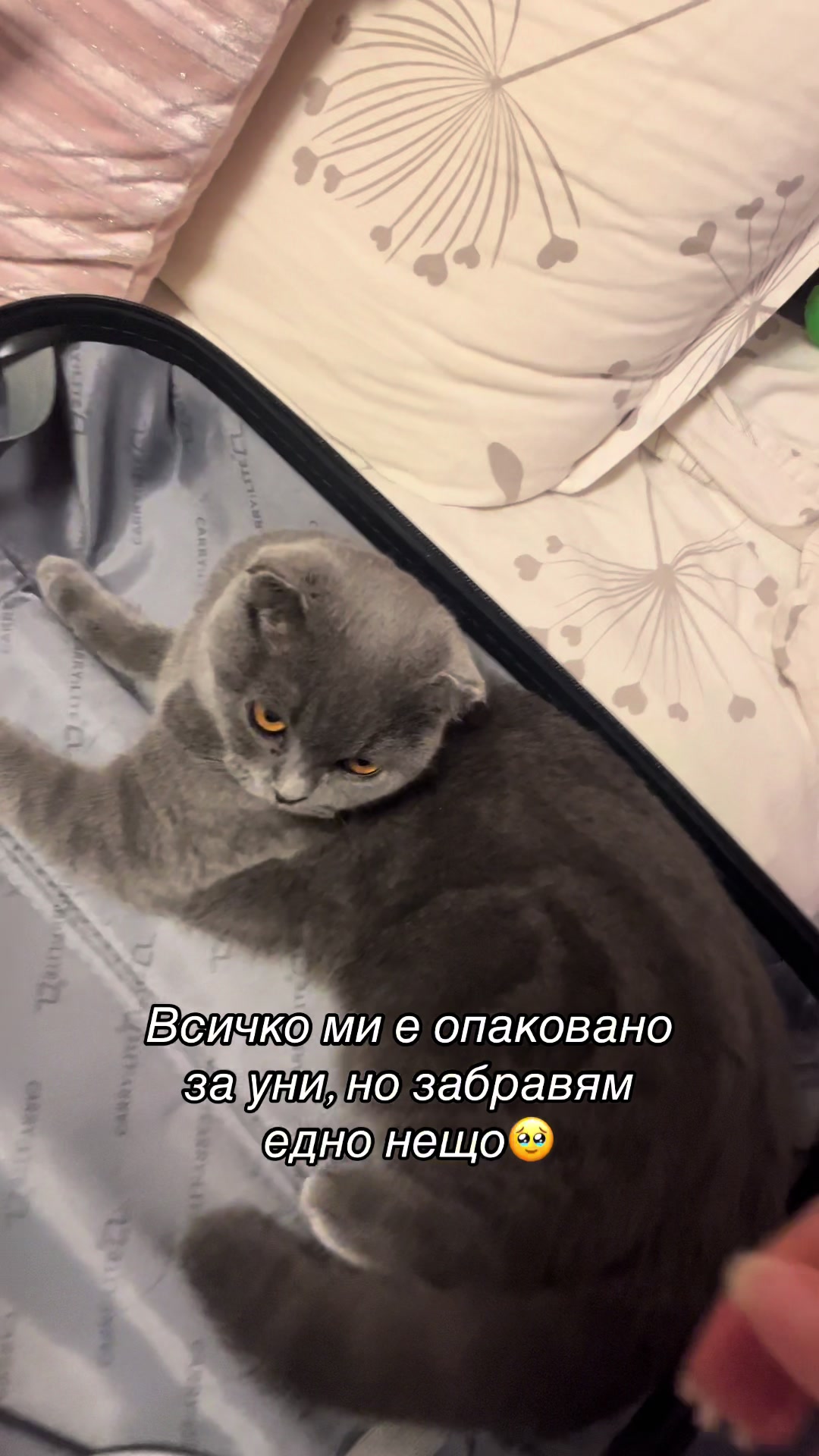 @Яси М