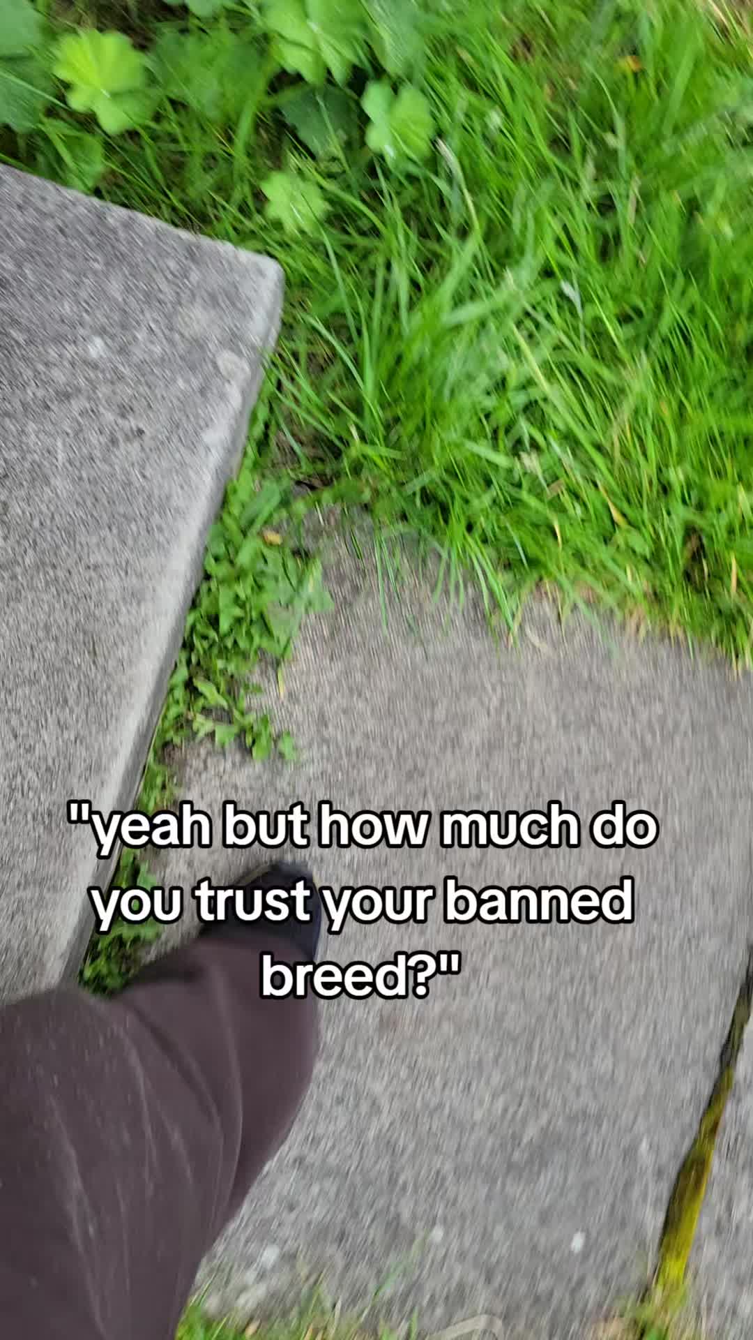 @kirsty+starlight the xl bully