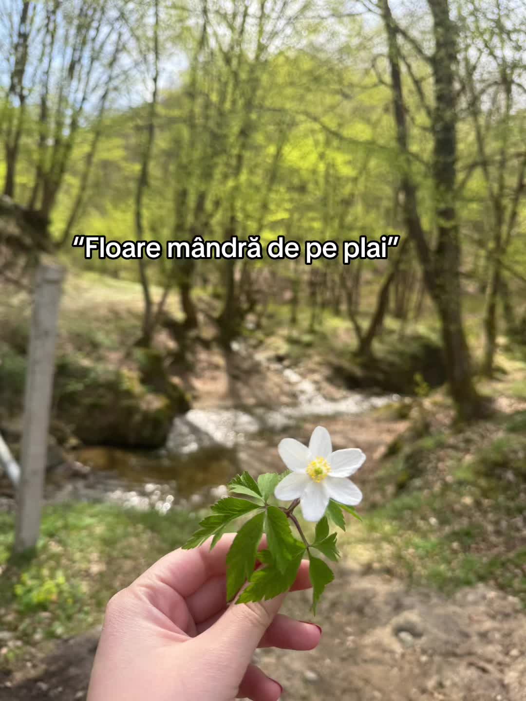 @DRB_MARIA