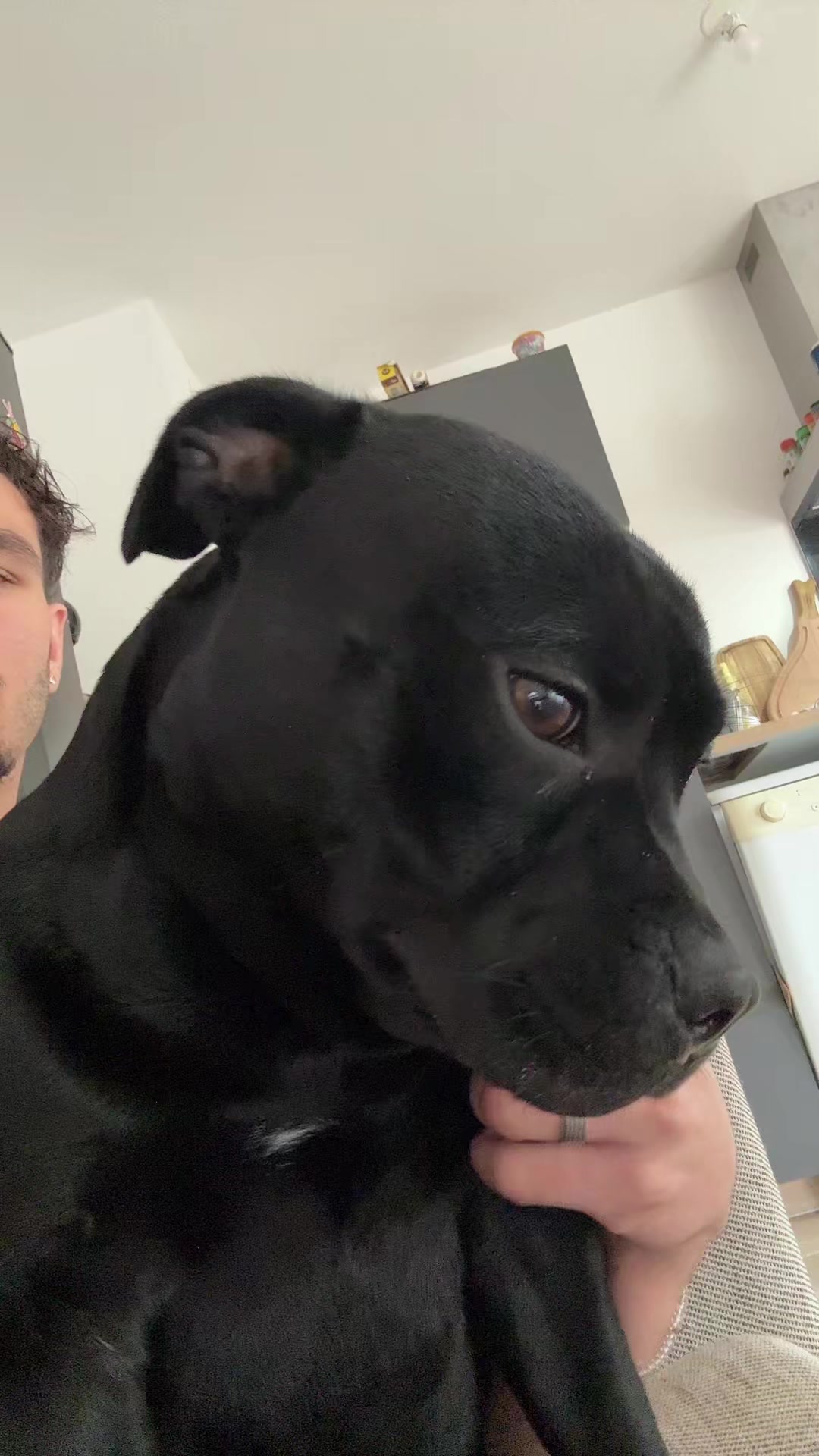 @staffie.young.tao