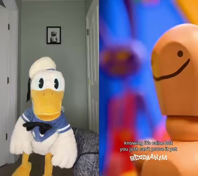 @DonaldDucc 🦆