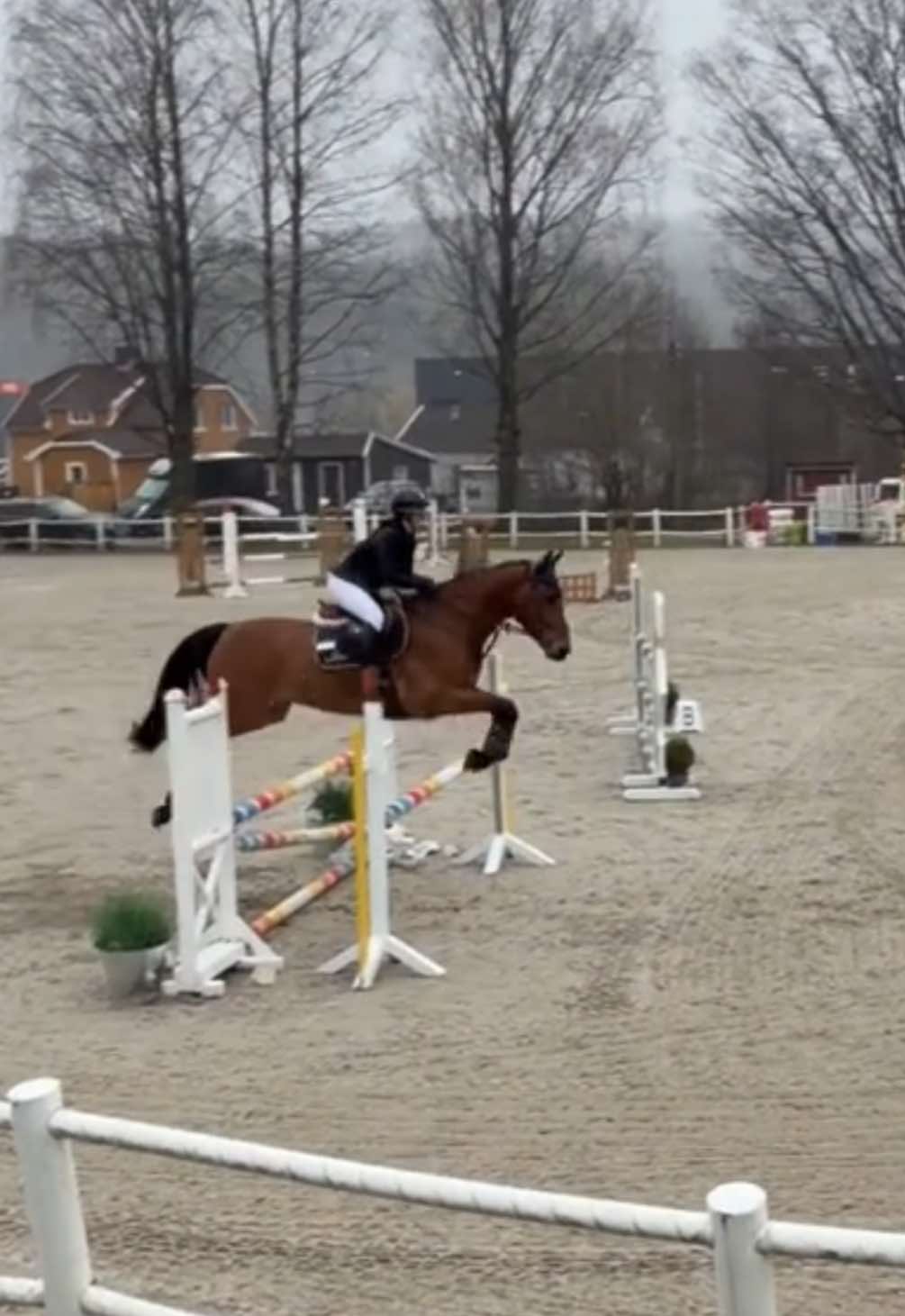 @hedda.equi