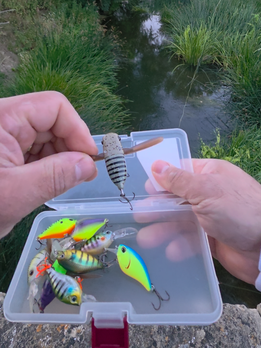 @BF Angler