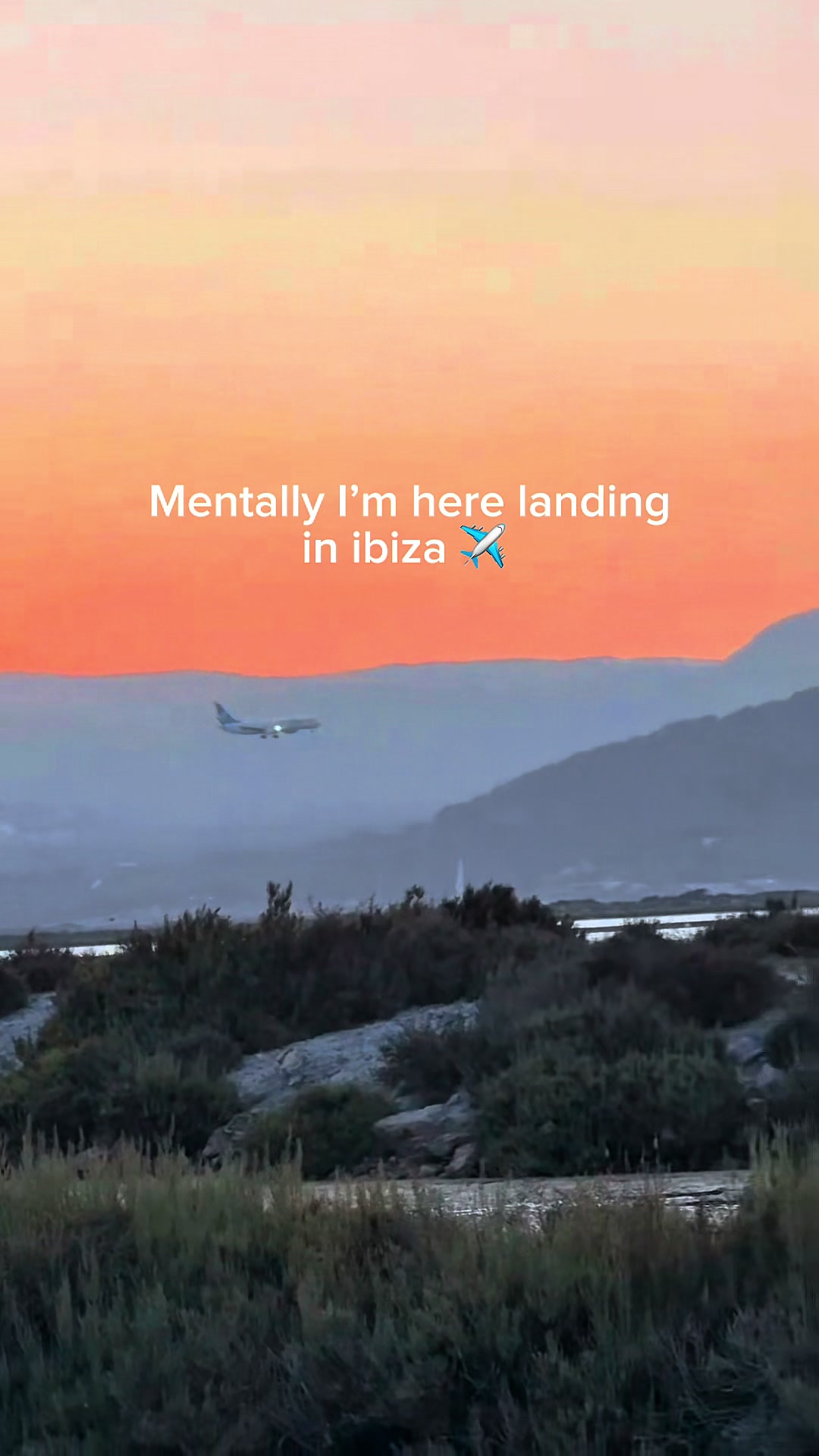 @ibizahq