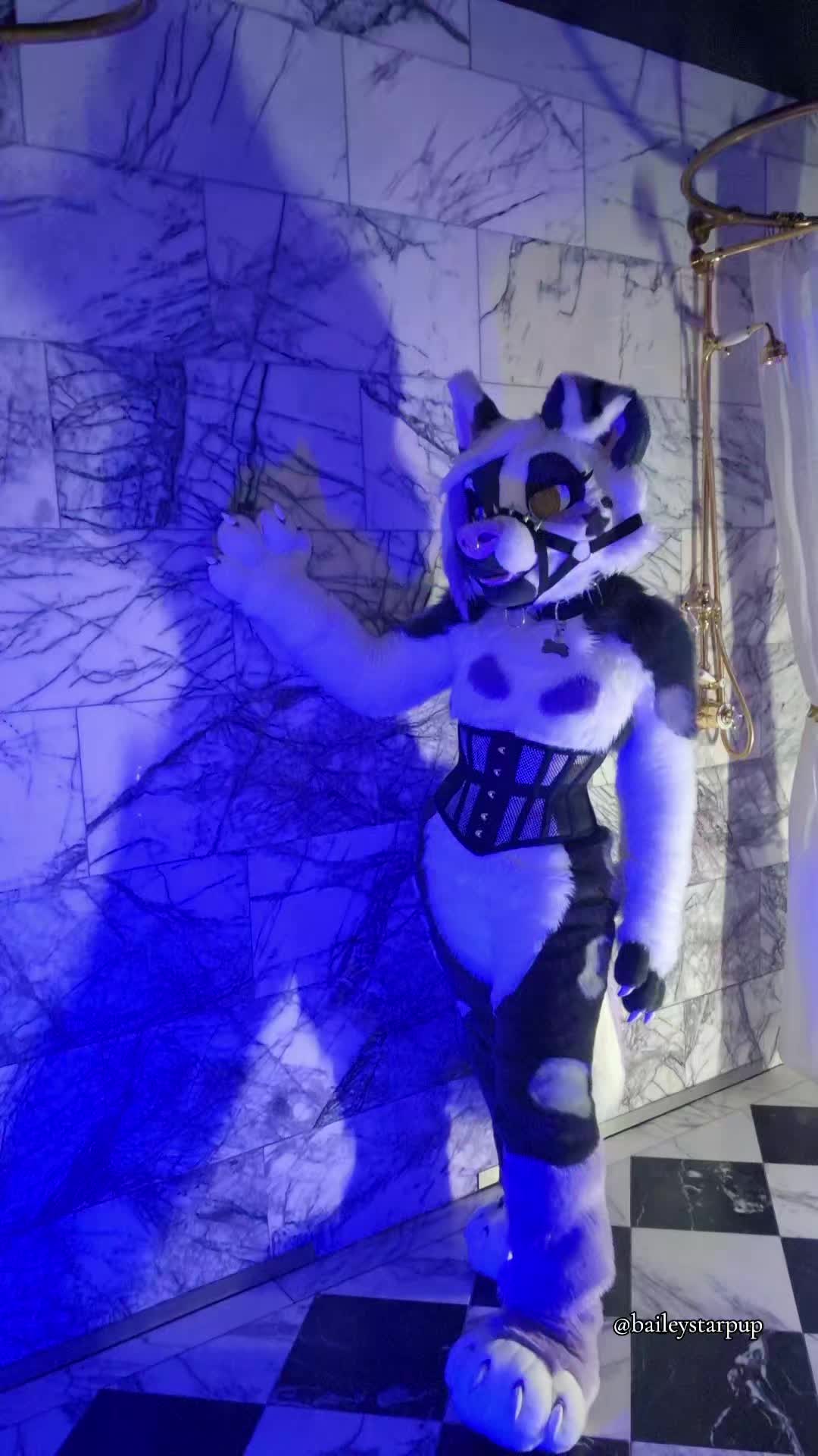 @Bailey (lilpixiekitten)