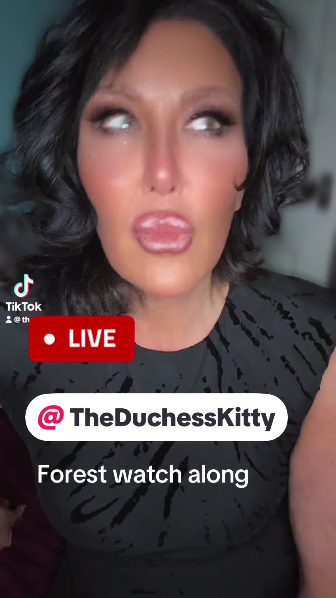 @Bruddc & Kitty live