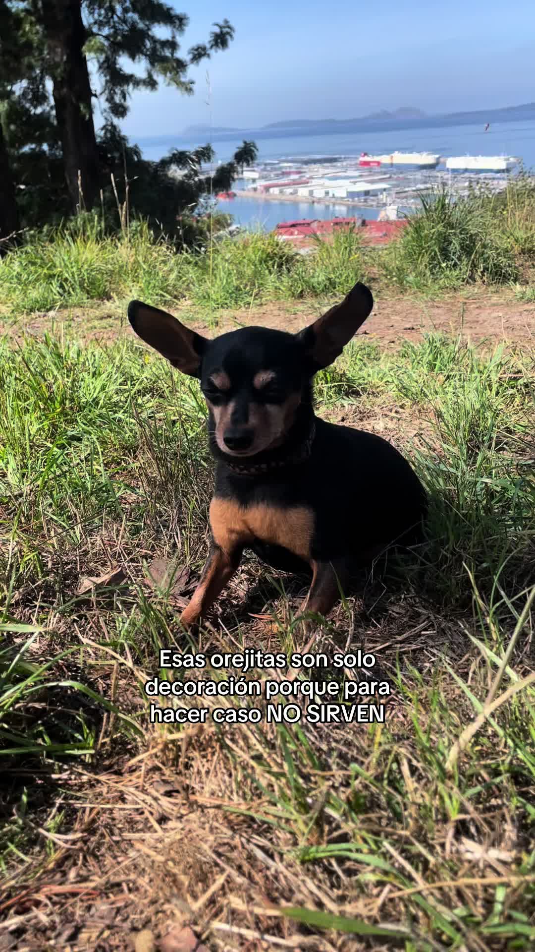 @Daniela
