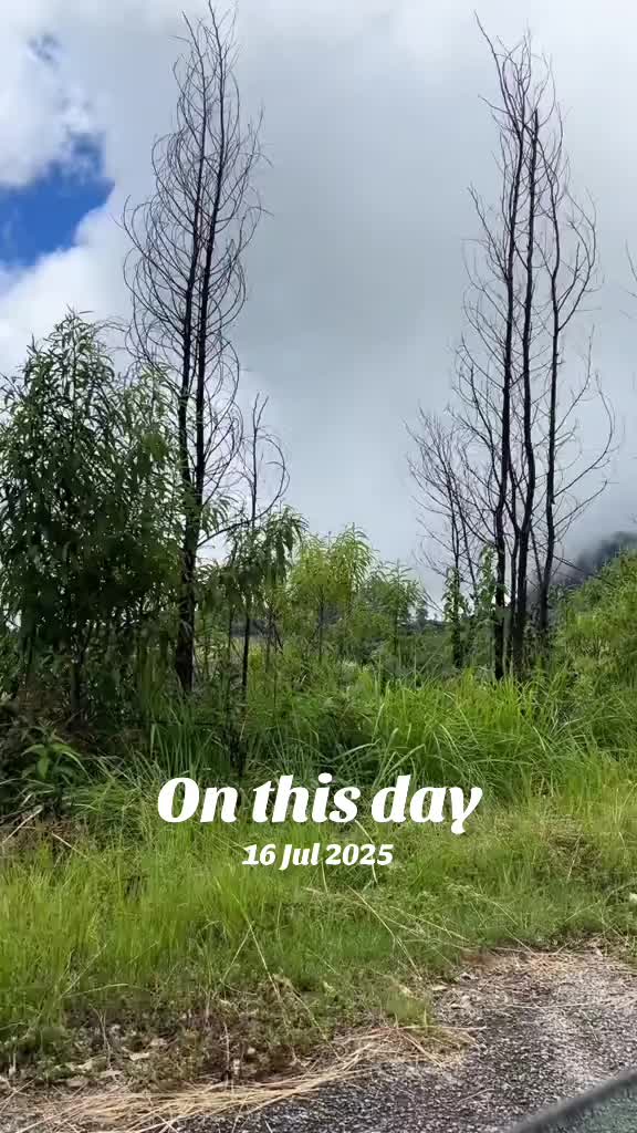 @ChasuraMatapatira🦅