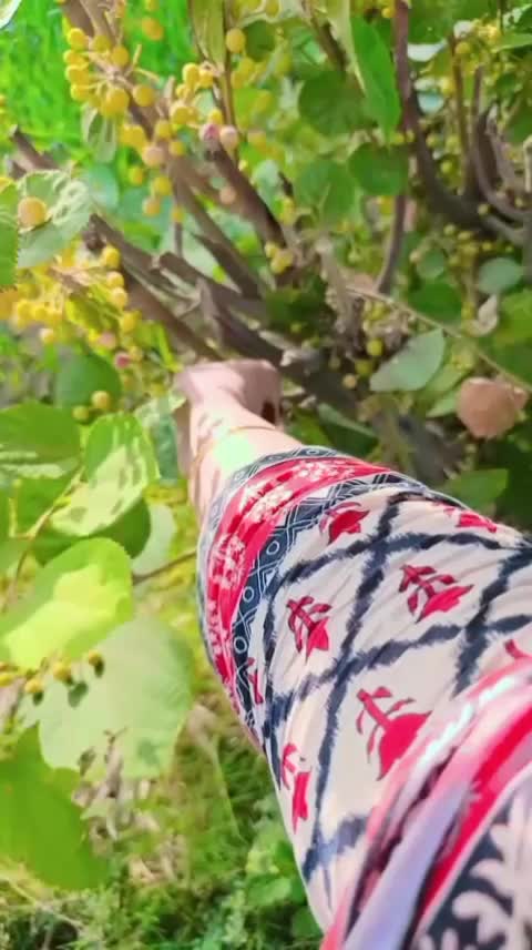 @foji ki lado