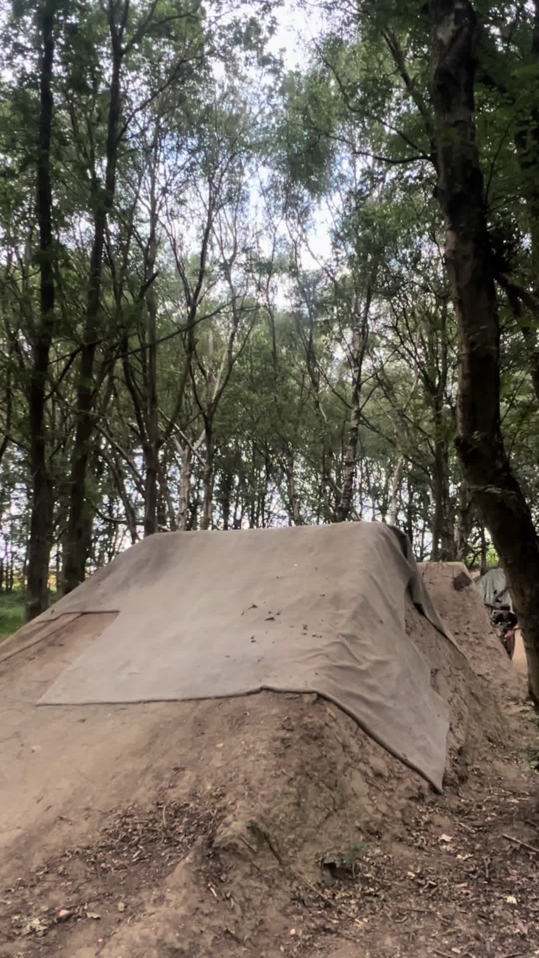 @AUSTIN_831🤠🇬🇧🏴