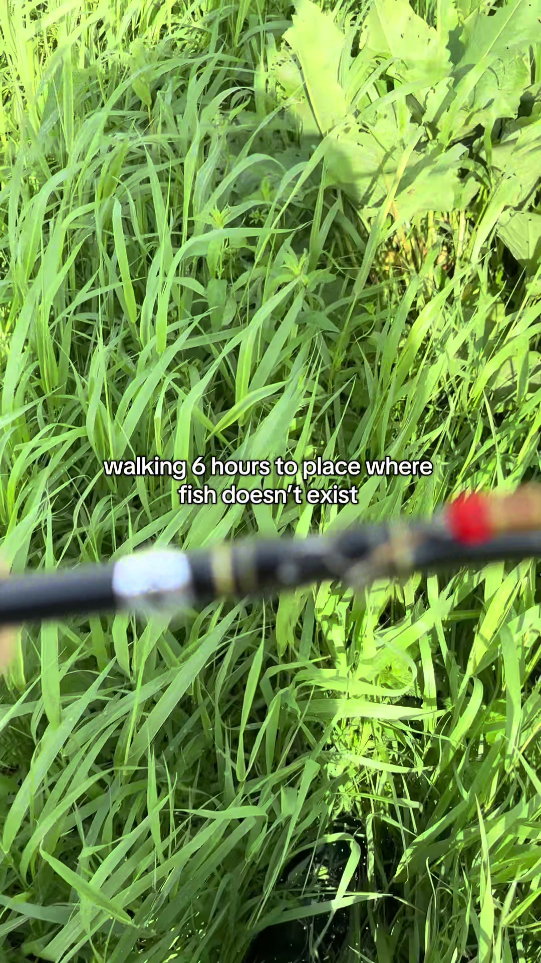 @Fishing With Alekss 🎣💎