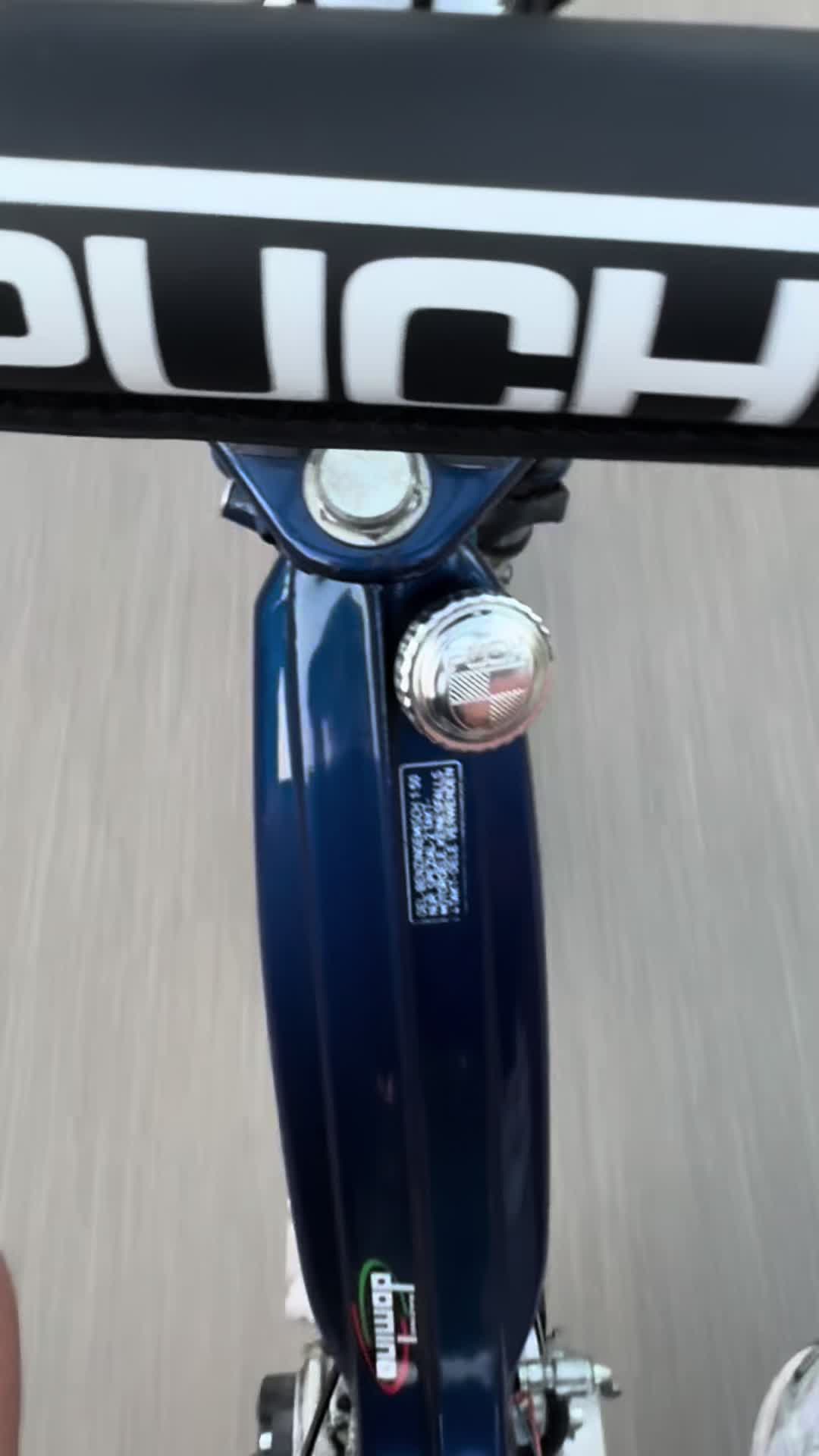@BlueMaxiLevin