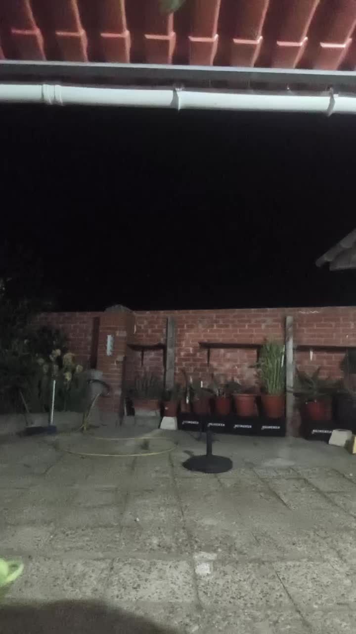 @Maria Chico