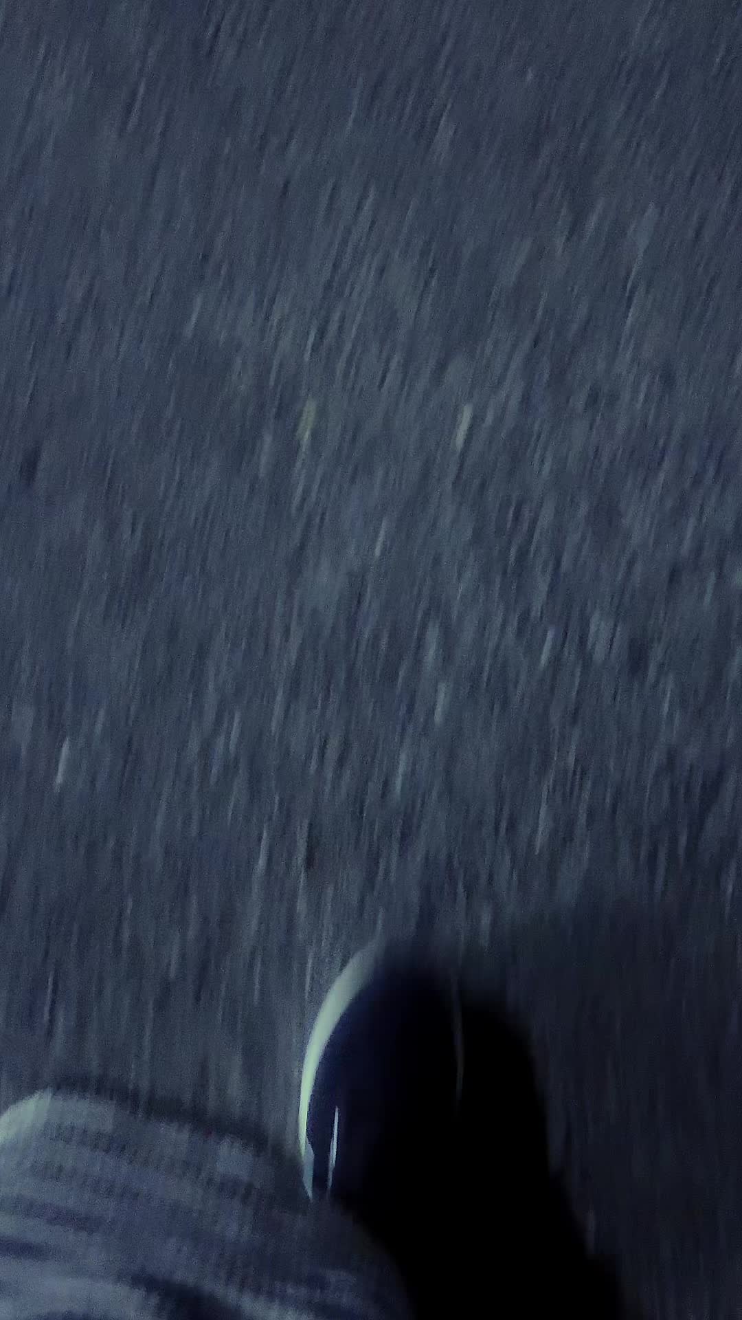 @zamonam