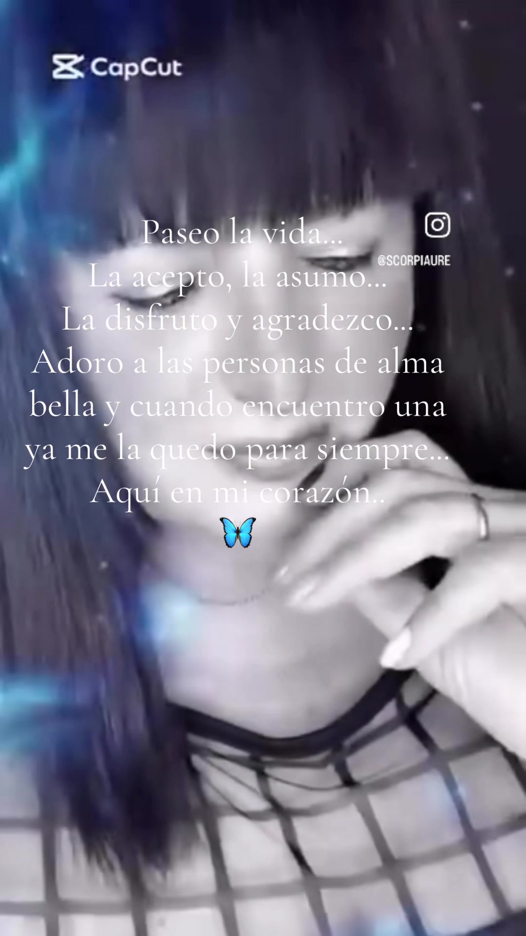 @Noviembre LXIII 🦋