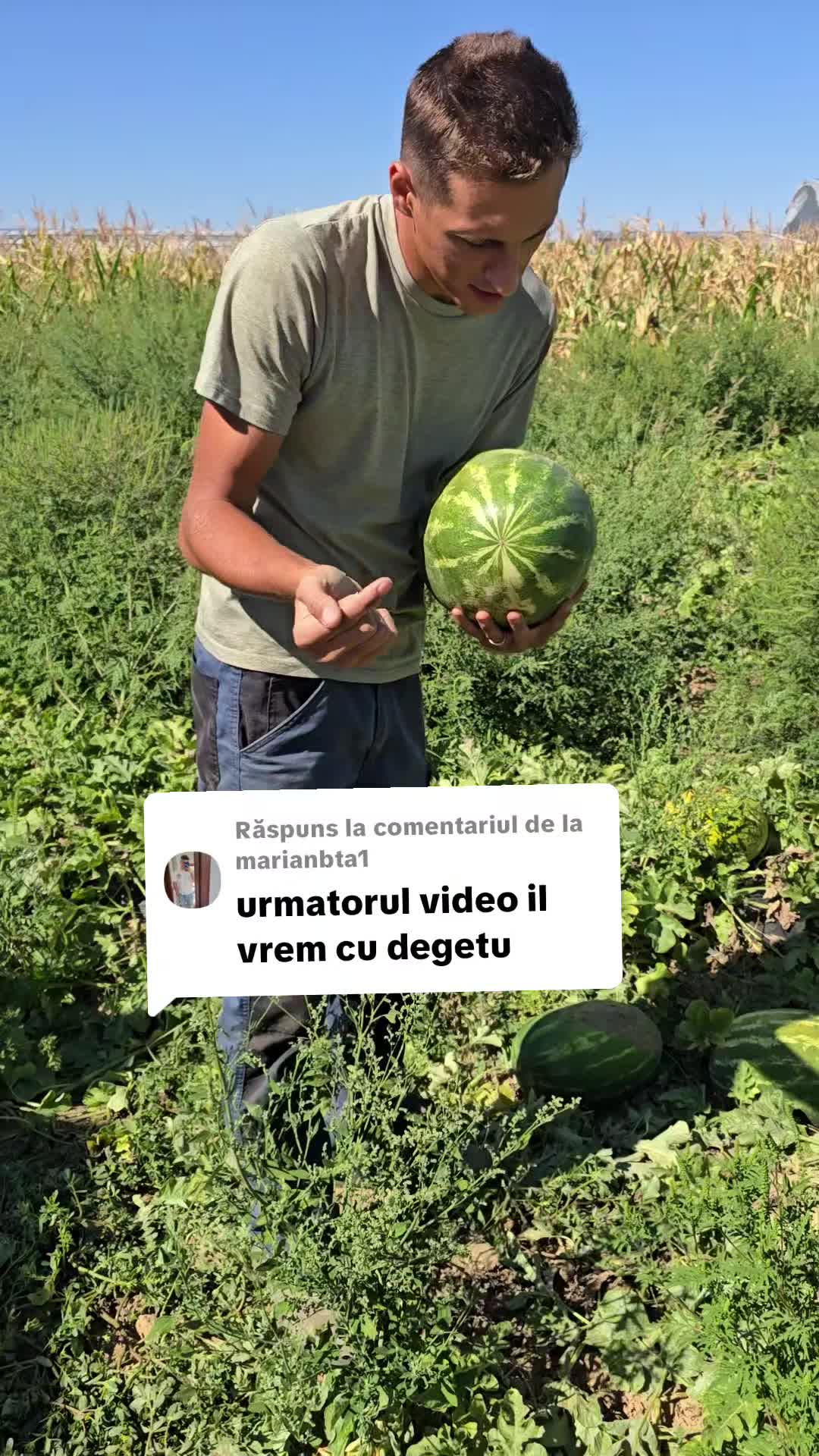 @Faze Farm