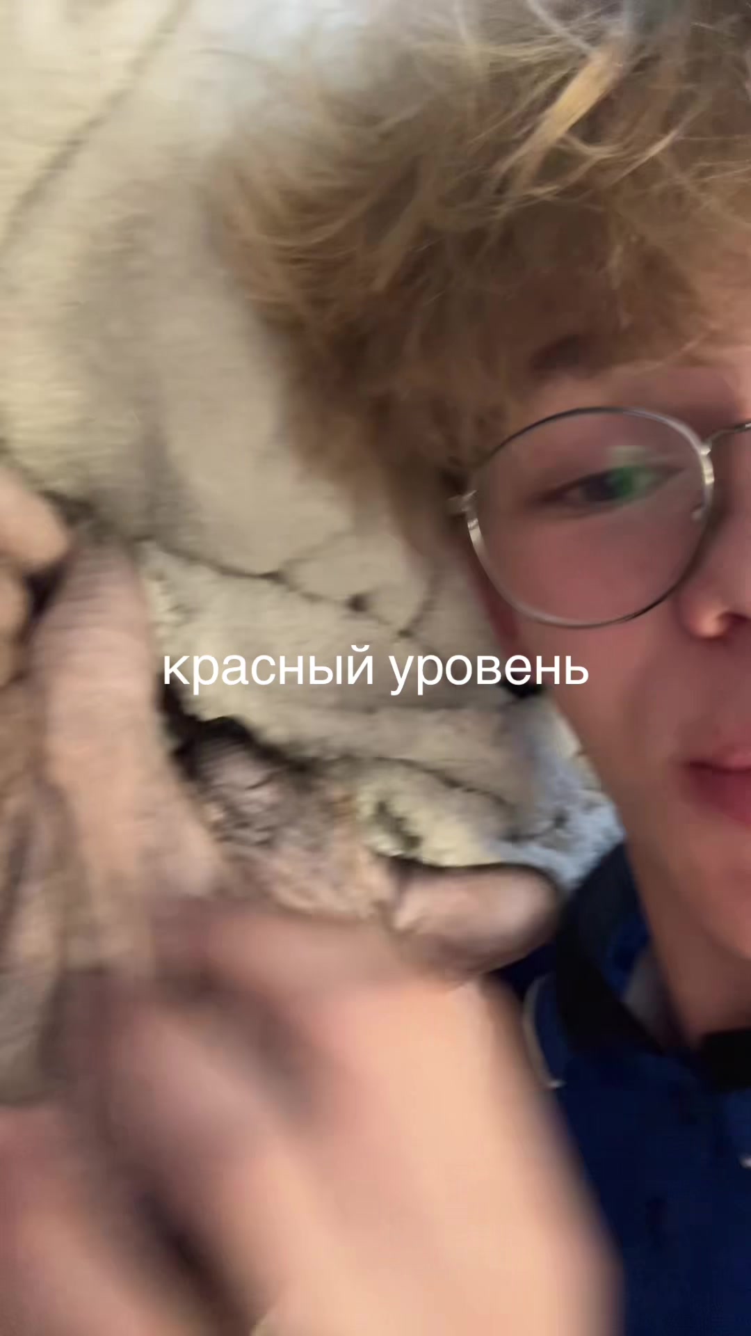 @K l i m e n k o v